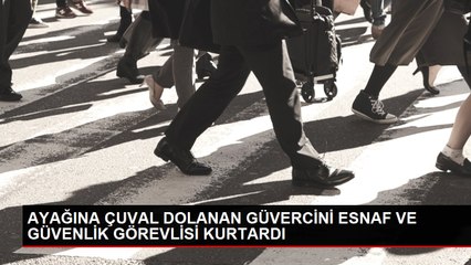 Download Video: AYAĞINA ÇUVAL DOLANAN GÜVERCİNİ ESNAF VE GÜVENLİK GÖREVLİSİ KURTARDI