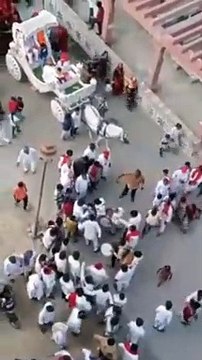 Wedding on streets interrupted by bull fight