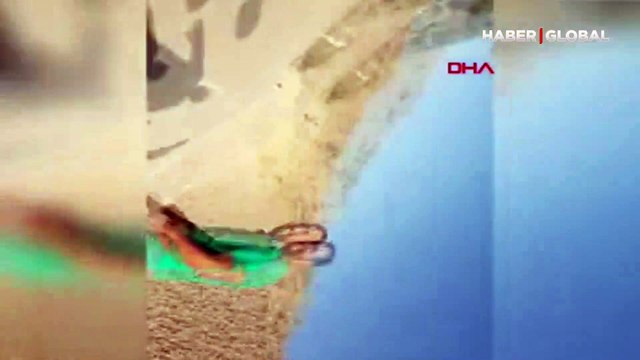 Saldırı anı kamerada! Ölü sandığı ayıyı kameraya almak isterken dehşeti yaşadı