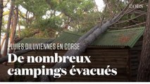 En Corse, les terribles dégâts des rafales de vent dans un camping de Calvi