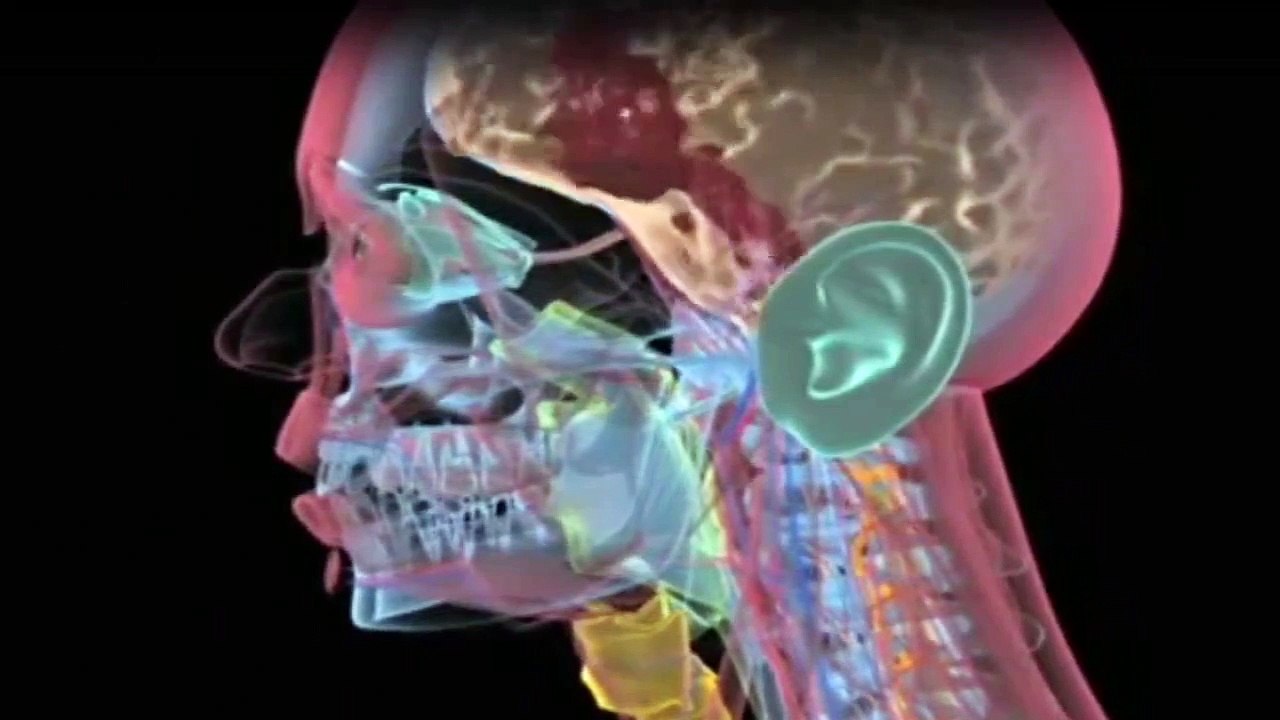 1000 Wege, ins Gras zu beißen Staffel 2 Folge 3 HD Deutsch