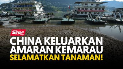China keluarkan amaran kemarau selamatkan tanaman!