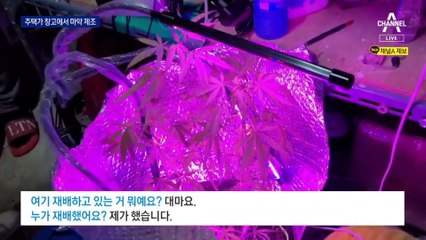 [단독]중국집 창고에 마약 제조실…필로폰·대마초 발견