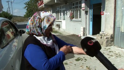 İstanbul’un o ilçesinde kene istilası! Binayı sardılar, vatandaşlar kendini dışarı attı