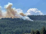 Son dakika haber... Bursa'da orman yangını