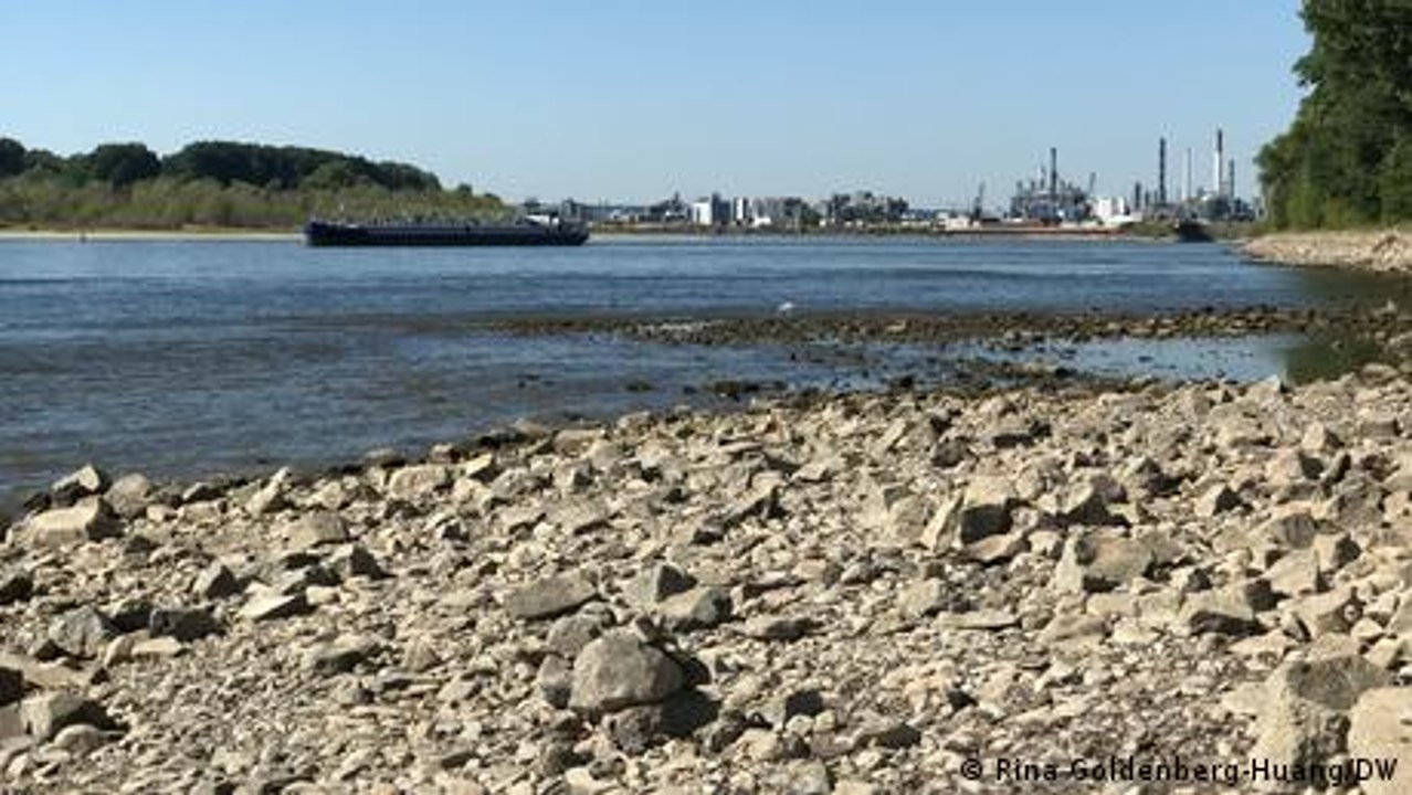 Supply chains at risk as Rhine water dries up