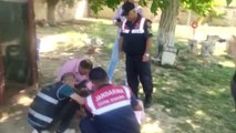 İzmir 3. sayfa haberleri... İzmir'de ilginç olay: Benzin istasyonunda beslenen Hint maymunu küçük çocuğun elini ısırdı