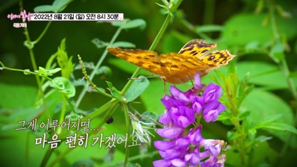 사랑하는 당신, 잘 가세요_엄마의 봄날 362회 예고 TV CHOSUN 220821 방송
