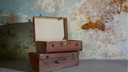 Skeletons of two children found in suitcases sold at auction