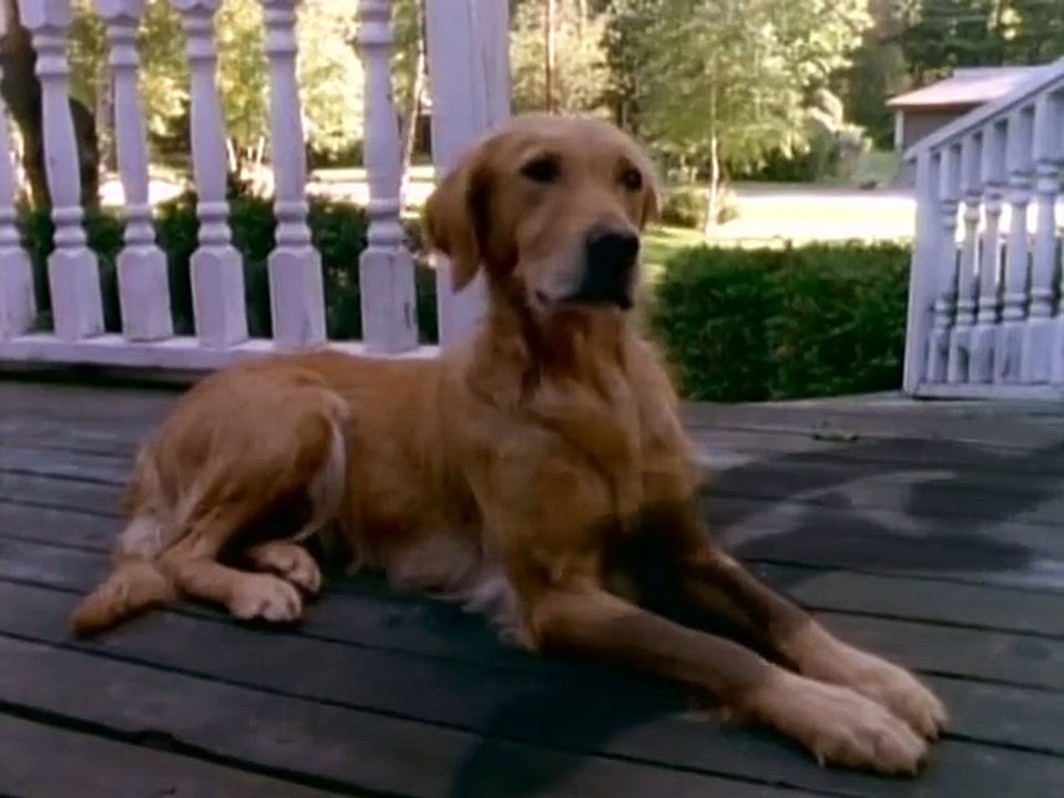 Gänsehaut - Die Stunde der Geister Staffel 1 Folge 9 HD Deutsch