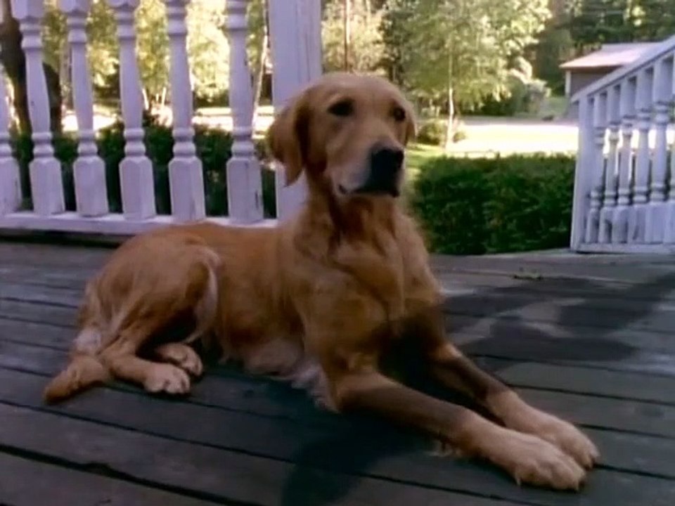 Gänsehaut - Die Stunde der Geister Staffel 2 Folge 1 HD Deutsch