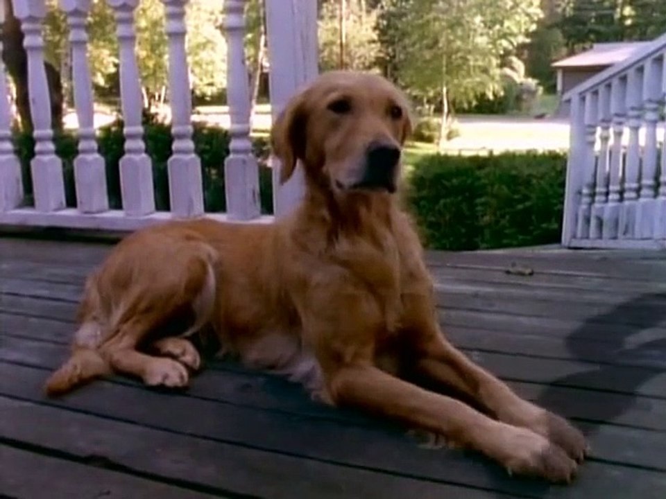 Gänsehaut - Die Stunde der Geister Staffel 2 Folge 11 HD Deutsch