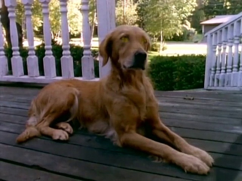 Gänsehaut - Die Stunde der Geister Staffel 2 Folge 12 HD Deutsch