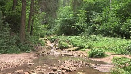SARAYBOSNA - Bosna Hersek'teki Miljacka Nehri'nin kaynağı kurumak üzere