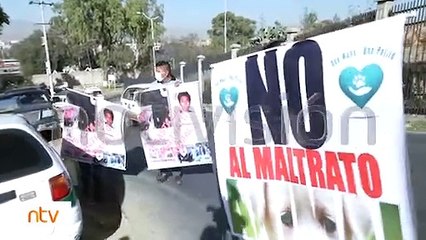 Activistas exigen juicio por biocidio para Daniel R. A. que atacó a machetazos al can "Koki"