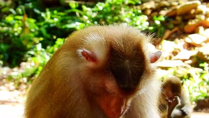 26=Can you shake my hand and get up.. Mom Libby..!!