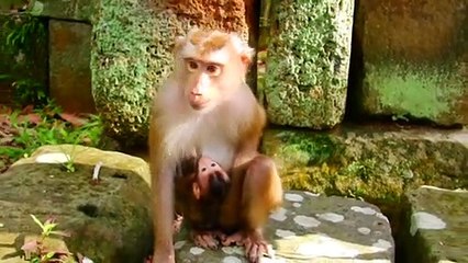 30=Oh ho! Rainbow tried , to stop Libby to make her unhappy