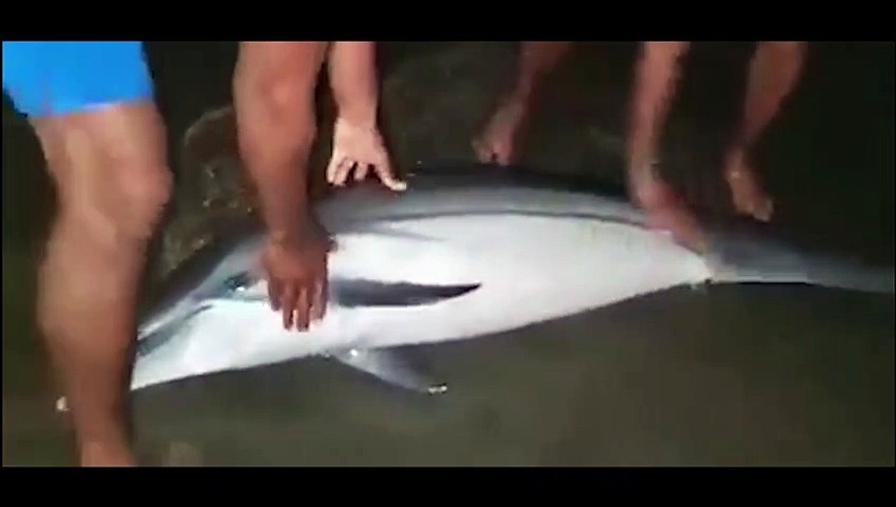 ext-rescate-delfin-190822
