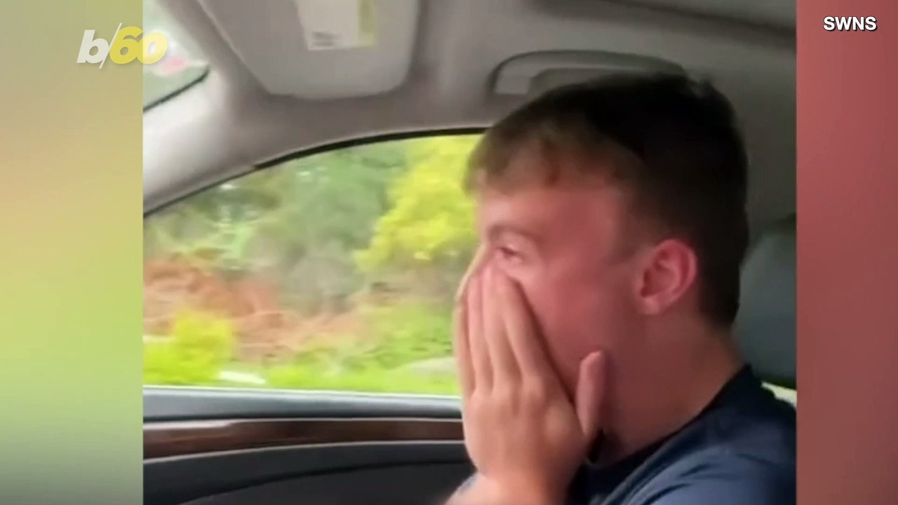 Family of 4 With 2 Dogs Accidentally Books 114-Square-Foot Tiny House for Vacation