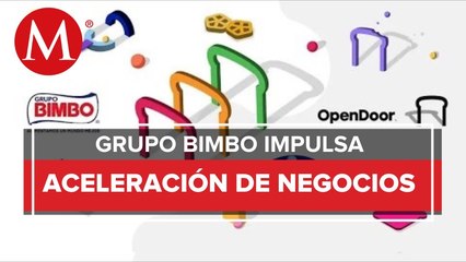 Grupo Bimbo convoca a startups y scaleups a participar en programa de aceleración Open Door