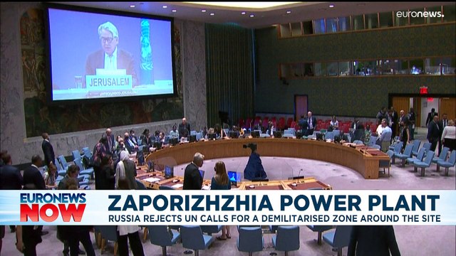 Putin 'agrees' to send IAEA inspection team to Ukraine nuclear plant