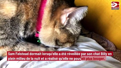 Un chat héroïque a sauvé la vie de sa propriétaire !