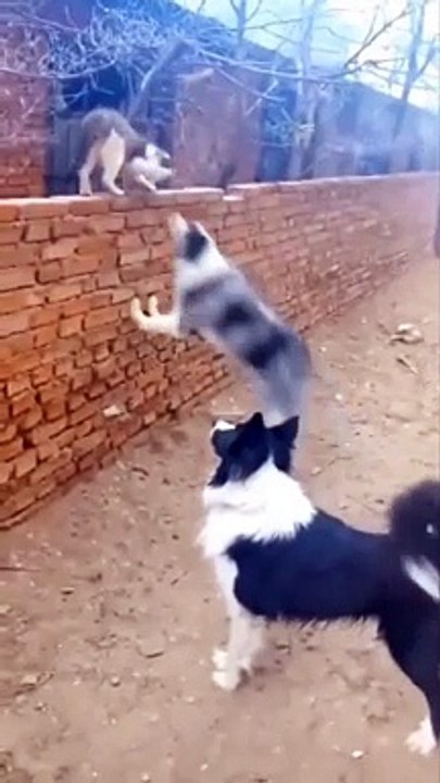 Unsuccessful attack