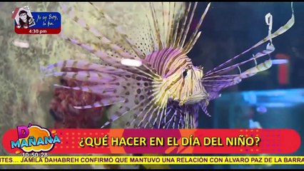 Dia del Niño: D´Mañana te da las mejores opciones para celebrar con los pequeños de casa