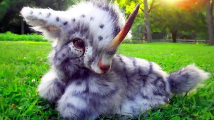 15 Animals That Are Born Only Once In a Thousand Years