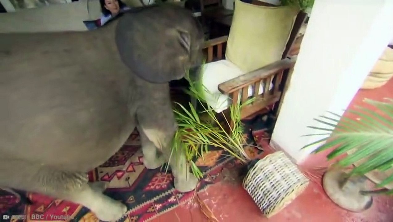 15 People Who Accidentally Adopted Monsters