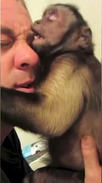 Monkey and pet human fun! #monkey #pets #playing #fun