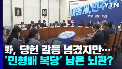 野, '당헌 갈등' 넘겼지만...'민형배 복당' 남은 뇌관? / YTN