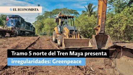 Tramo 5 norte del Tren Maya presenta irregularidades: Greenpeace