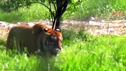 This Is How Pablo Escobar Spent His Billions