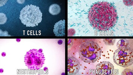 Food That STOPS Your Immune System from Working - Dr. Berg