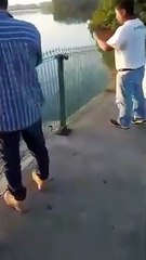 Enorme cocodrilo fue captado paseando un cadáver en laguna mexicana