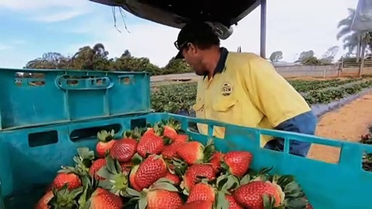 Brisbane area known for farming overtaken by urban sprawl