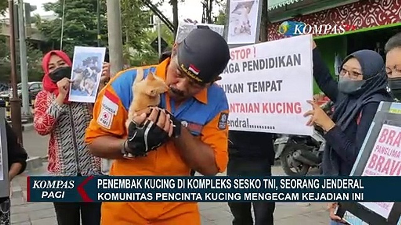 Komunitas Pencinta Kucing Mengecam  Penembakan...