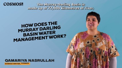 How does the Murray Darling Basin water management work? | August 22, 2022 | Cosmos Magazine