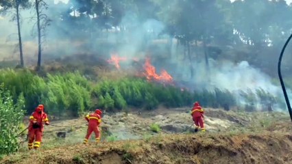 Un incendio devasta Calatafimi, danneggiata la Chiesa Madre