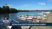 Pesona Pasir Putih Dan Hutan Alam Pulau Bogisa