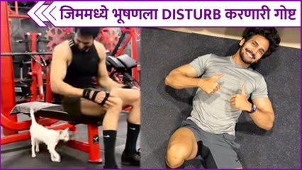 Bhushan Pradhan's Cute Workout Video With Cat | जिममध्ये भूषणला DISTURB करणारी गोष्ट