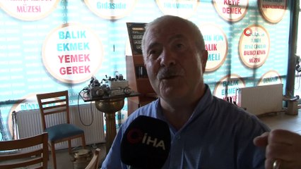 Davetsiz misafir karidesle besleniyor! Kumru, orkinosun içine yuva yapıp yumurtladı