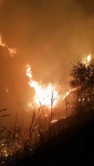 Notte di fuoco e paura a Lipari, le fiamme domate all'alba