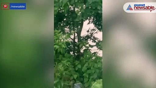 Cloudburst in Dehradun, swollen rivers wash away bridges