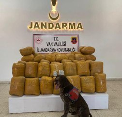 KAYALIKLAR ARASINDA 200 KİLO ESRAR VE 500 SENTETİK HAP ELE GEÇİRİLDİ