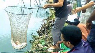 Hook Fishing __ AWSOME fishing competition __ মালিগাছা বাঙ্গাবাড়িয়া ৮০০০ টাকার মাছ ধরার প্রতিযোগিতা