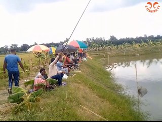Best Hook Fishing By Village Small Pond __ ছোট পুকুরে বড় বড় রুই মাছ শিকার __ Raju Pond Pabna