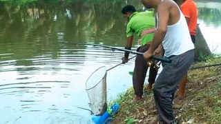 Traditional Hook Best Village River Fishing __ বাঙ্গর নদীতে রুই মাছ শিকার । Pabna  Fishing Videos