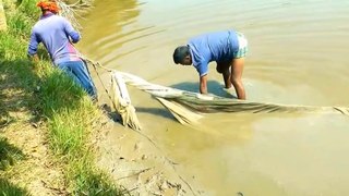 Best & Traditional Net Fishing By Village Pond __ খেরু ভাই এর পুকুরে জাল টেনে মাছ ধরা  Mirzapur Pond